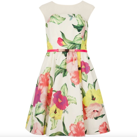 Ted Baker London Iberis Floral Fit & Flare Dress - Picture 2 of 16